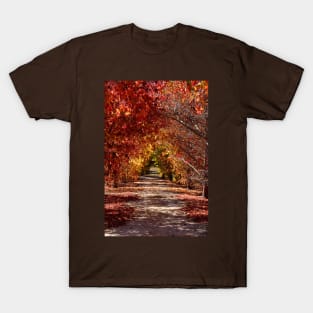 Path of Golden Hues T-Shirt